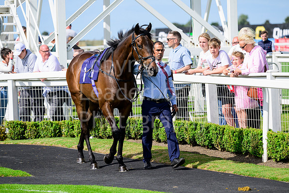 NZ9_4413