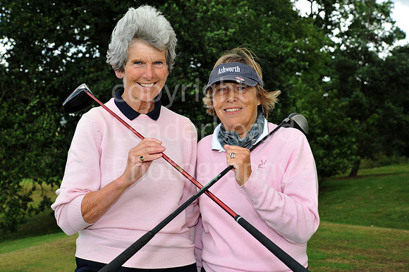 LB_34_Ping_Plate_Final_2011.jpg