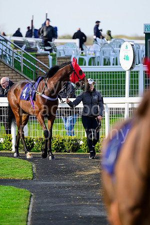 NZ9_4336