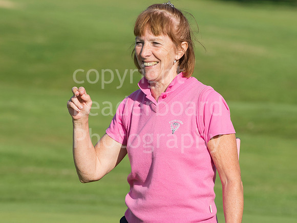 AJ_PING_Plate_2015_691