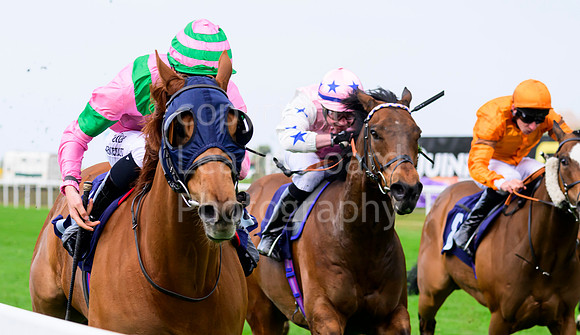 NZ9_4176