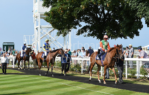 Gt_Yarm_Races_22_July2021-136