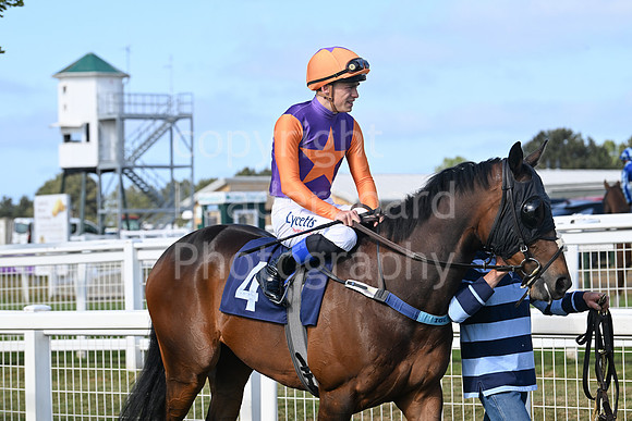 Gt_Yarm_May14_2025-245