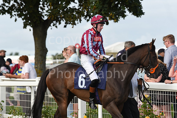 Gt_Yarm_Races_24_Aug_2021-192