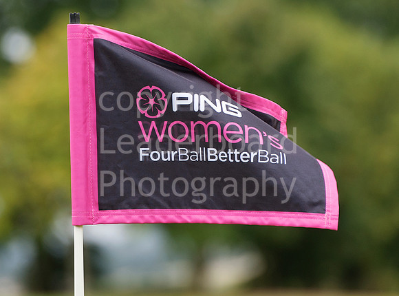 NB_PING_PLATE