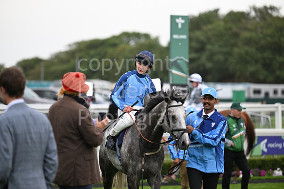 Gt_Yarm_Ladies Night_2025-140