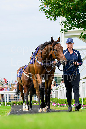 NZ9_2645