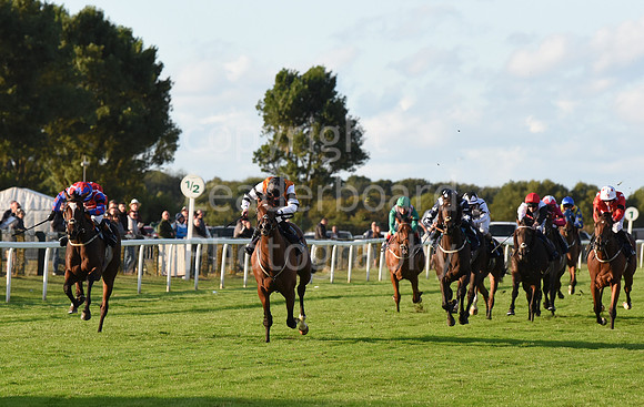 Gt_Yarm_15_Sept_2022-222