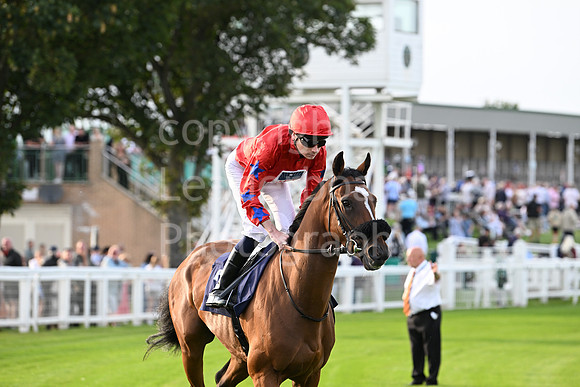 Gt_Yarm_6_Aug_2025-133