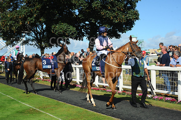 Gt_Yarm_Eastern_Fest_Day_2-92