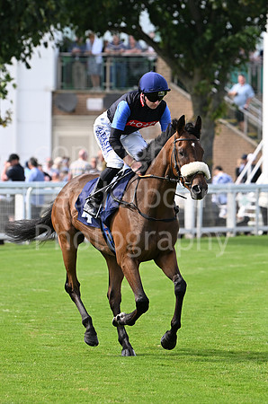 Gt_Yarm_Aug_8_2024-121
