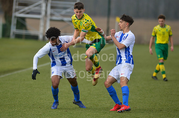 NB_041_NCFC_U18_Brighton
