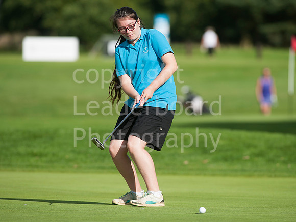 NB_26_Ping_Family