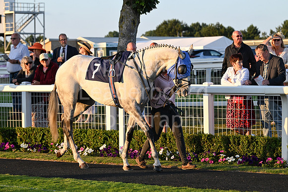 Gt_Yarm_Ladies Night_2025-193