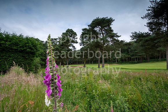 LBP_0273
