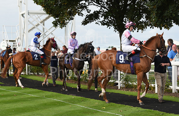 Gt_Yarm_Races_24_Aug_2021-193