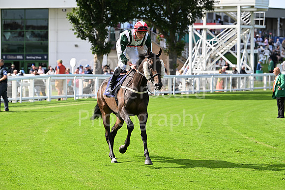 Gt_Yarm_28_July_2025-152