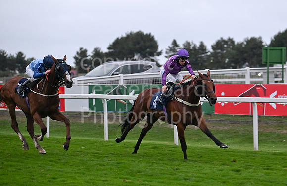 Gt_Yarm_Ladies Night_2025-246