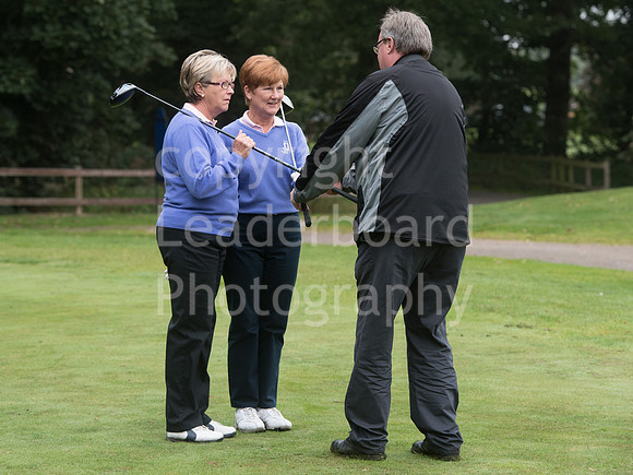 NB_02_Grand_Final_Ping
