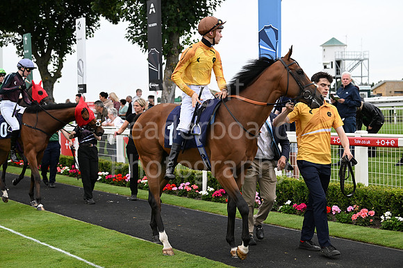 Gt_Yarm_July25_Racing_League_2024-129