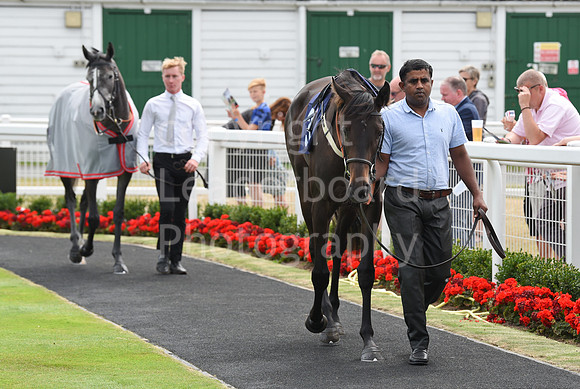 Gt_Yarm_26_July_2022-31