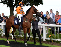 Gt_Yarm_Races_24_Aug_2021-12