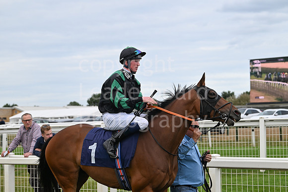 Gt_Yarm_25_Aug_Family_Raceday_2024-227