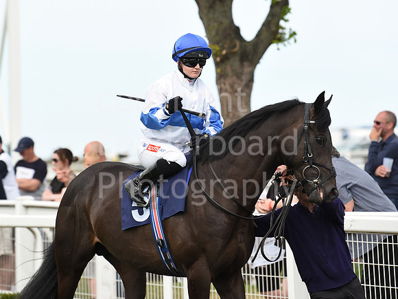 Gt_Yarm_4 Aug_2022-34