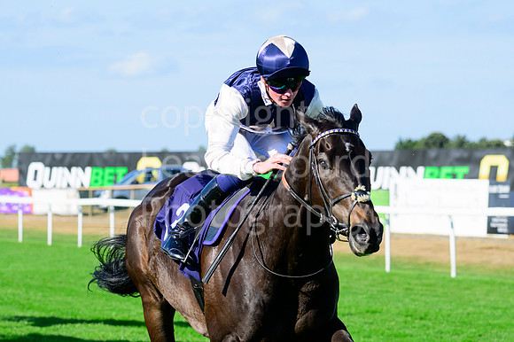 NZ9_5021