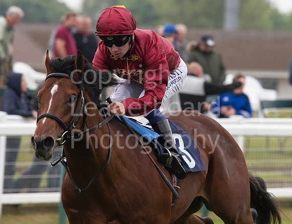 LB_GYR_May23_2018_0099
