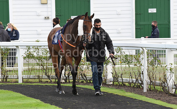 Gt_Yarmouth_Races_230Aug-134