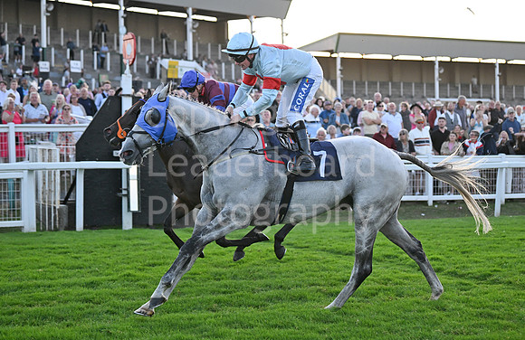 Gt_Yarm_Ladies Night_2025-216