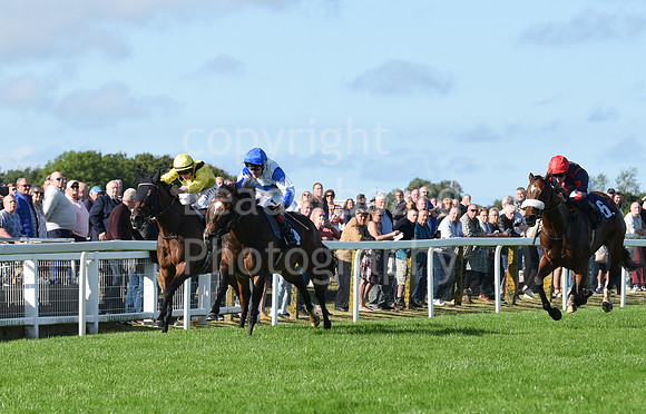 Gt_Yarm_Eastern_Fest_Day_2-153