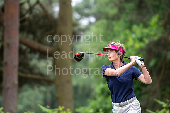 LBP_5976