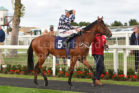 Gt_Yarm_14_Sept_2022-163