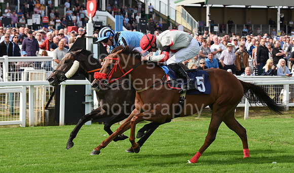 Gt_Yarm_Races_13_Sept8-40