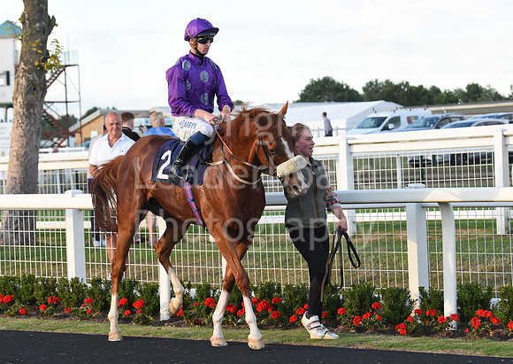 Gt_Yarm_3_Aug_2022-167