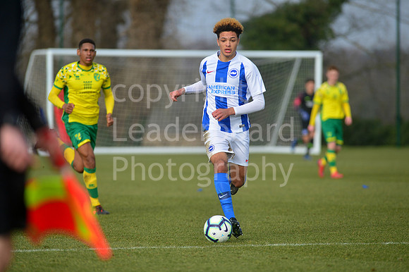 NB_087_NCFC_U18_Brighton