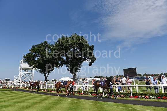 Gt_Yarm_July_30_2024-115