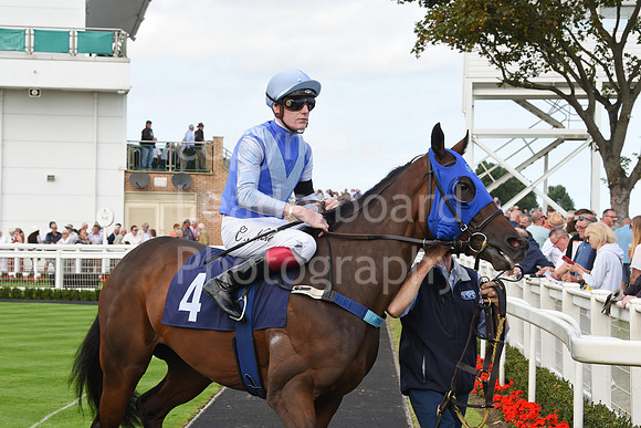 Gt_Yarm_14_Sept_2022-17
