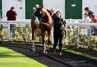 02_GY_Races_15Aug_Beatles