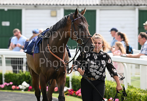 Gt_Yarm_Aug_8_2024-36