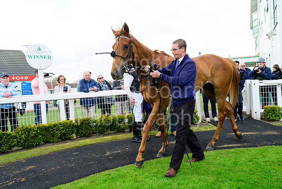 Winning_Groom_03
