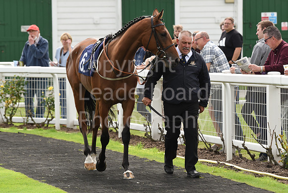 Gt_Yarm_Races_24_Aug_2021-34