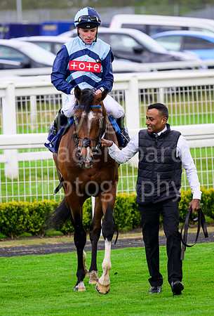 NZ9_4081