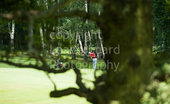 NB_REID_Trophy_2014