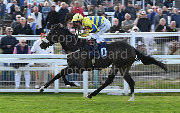 Gt_Yarm_May14_2025-213