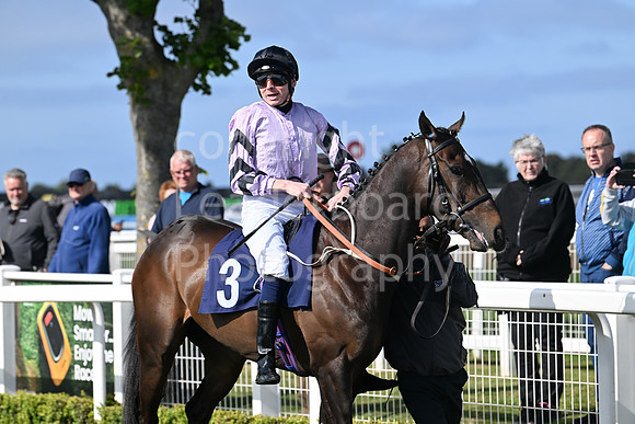 Gt_Yarm_May14_2025-235
