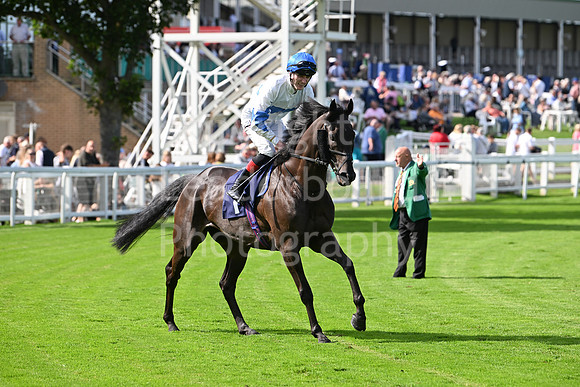 Gt_Yarm_28_July_2025-161