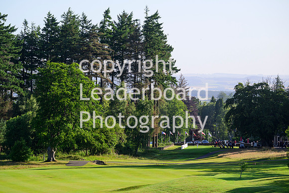 NZ9_3800_1